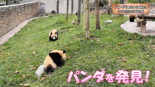 图片49.png