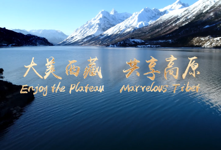 图片15.png
